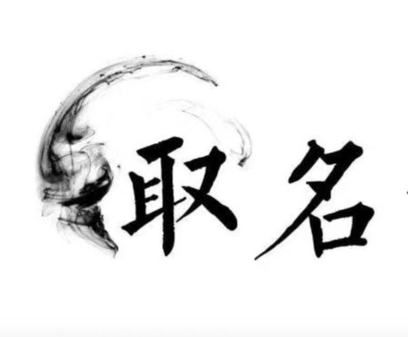  贺兰宝宝取名 大师一对一人工起名
