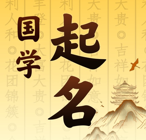 贺兰国学起名 人工起名一对一